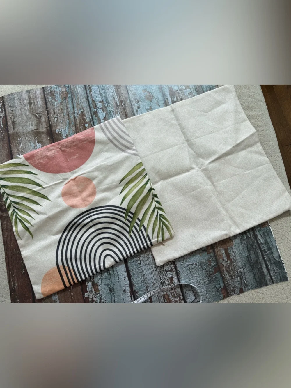 Two decorative pillow cases